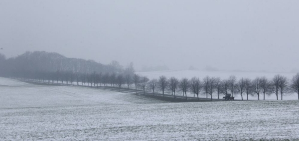 Allee auf Ruegen - (c) M Brunnert.jpg